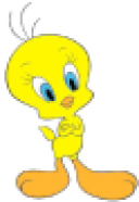 piolin.zapto.org